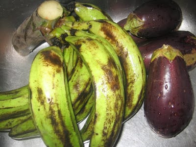 Unripe plantain bunch and purple eggplant