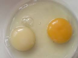 Two Egg yolk colour